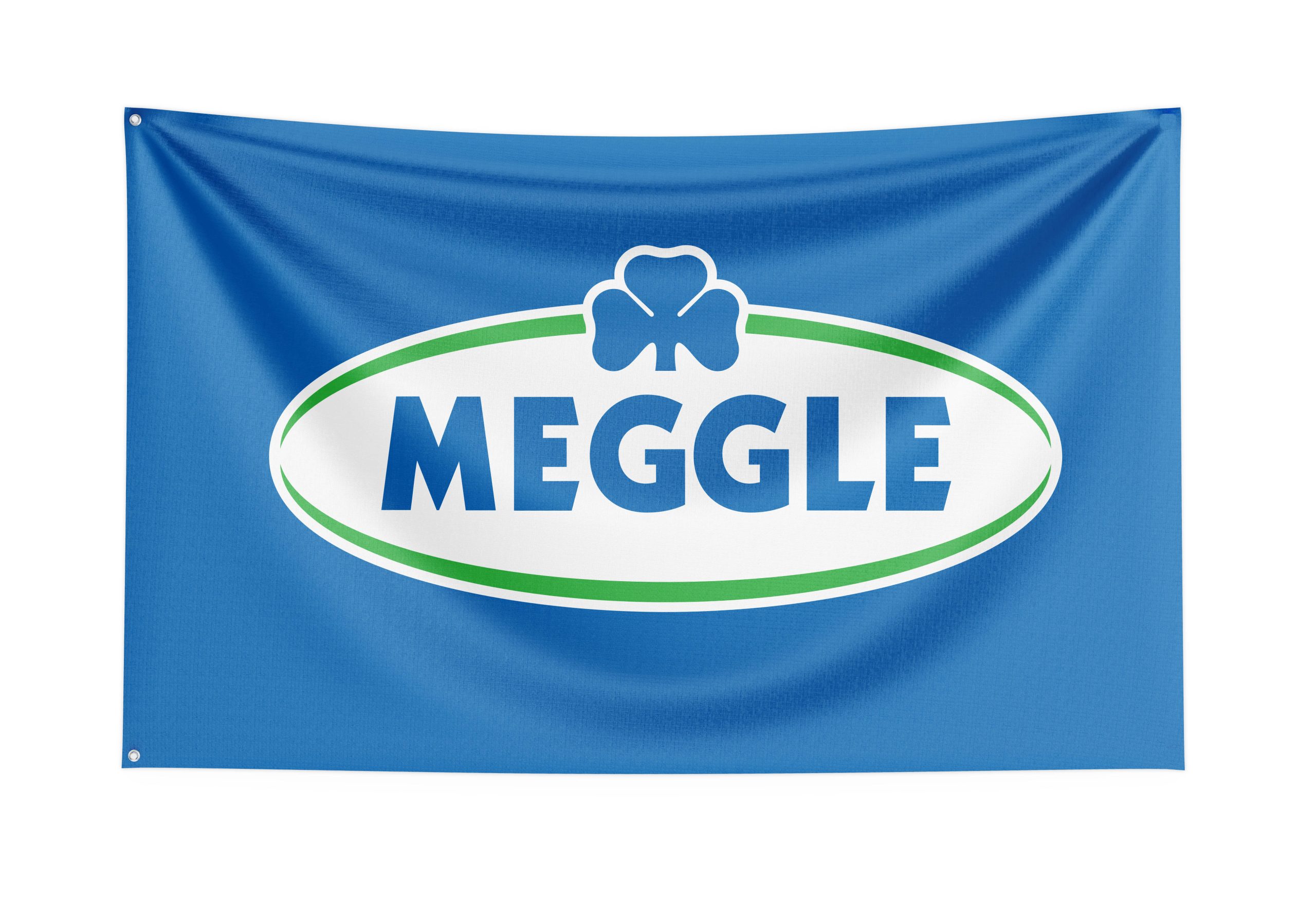 Фирмени знамена хоризонтални